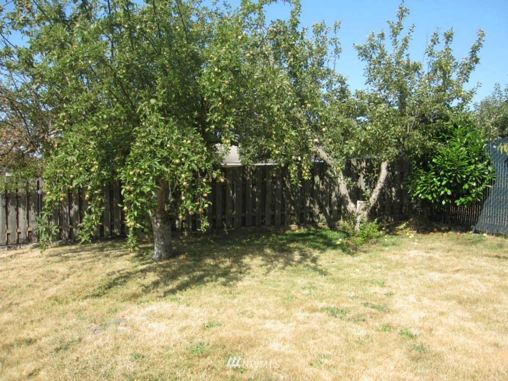 442 Southwest 126th Street Seattle, WA 98146 - Photo 5 of 18 Gallery Image 5