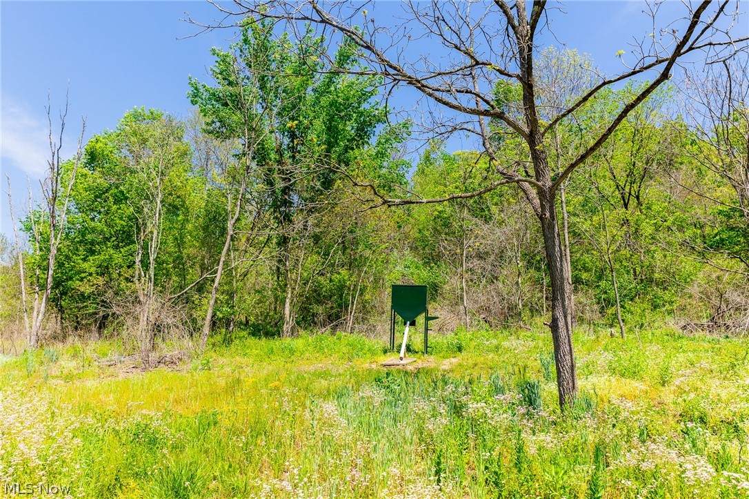 37500 Goose Run Road Dexter City, OH 45727 - Photo 44 of 50