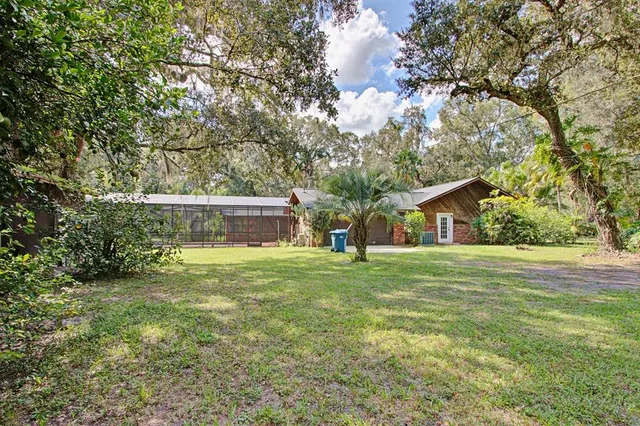 a view of a bunch of trees in a field