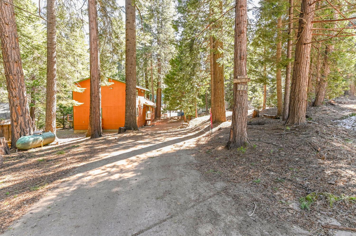 127 Summit Level Road Arnold, CA 95223 - Photo 44 of 61