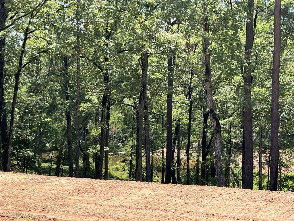 3080 Carters Ferry Road Zwolle, LA 71486 - Photo 8 of 10