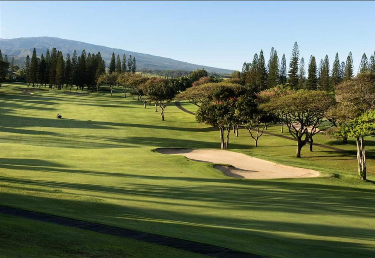 5432 Lower Honoapiilani Road, Unit B7 Lahaina, HI 96761 - Photo 25 of 27 a view of a yard