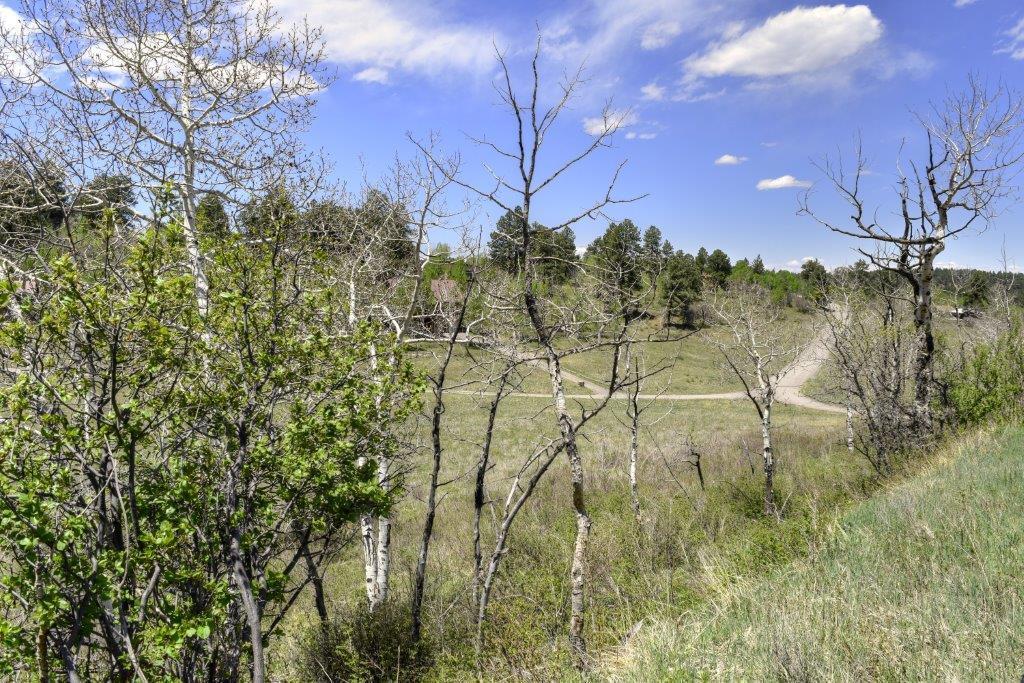 Tbd Alpine Lane Ridgway, CO 81432 - Photo 1 of 19 _DSC2636_Smooth 2