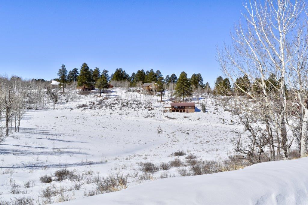 Tbd Alpine Lane Ridgway, CO 81432 - Photo 12 of 19 _DSC2294_Realistic