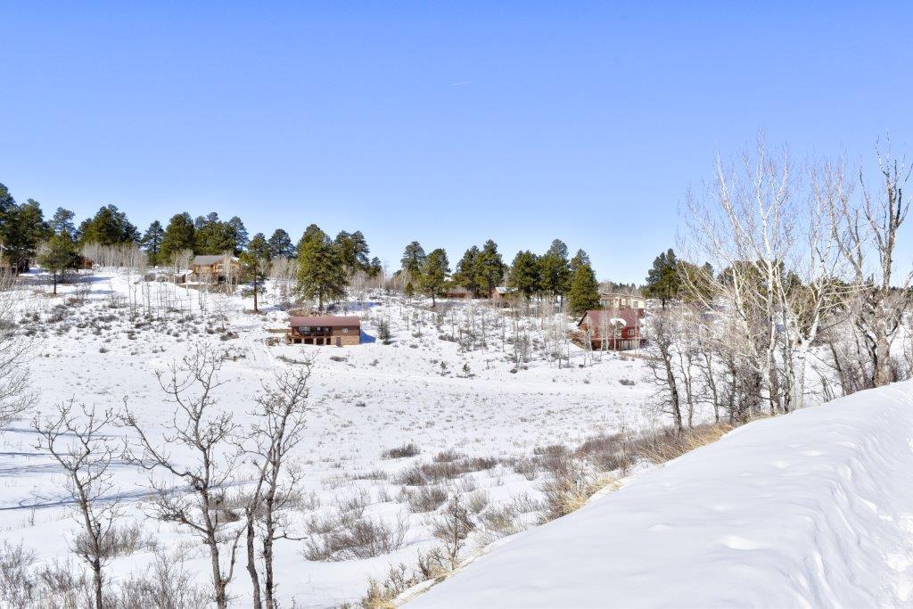 Tbd Alpine Lane Ridgway, CO 81432 - Photo 13 of 19 _DSC2295_Realistic