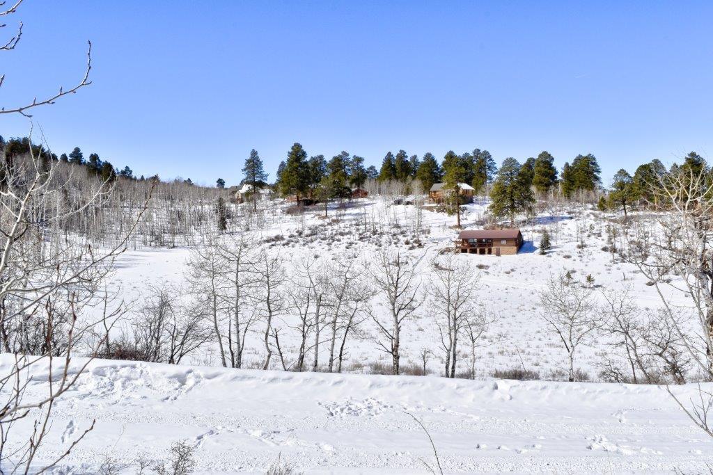 Tbd Alpine Lane Ridgway, CO 81432 - Photo 14 of 19 _DSC2296_Realistic
