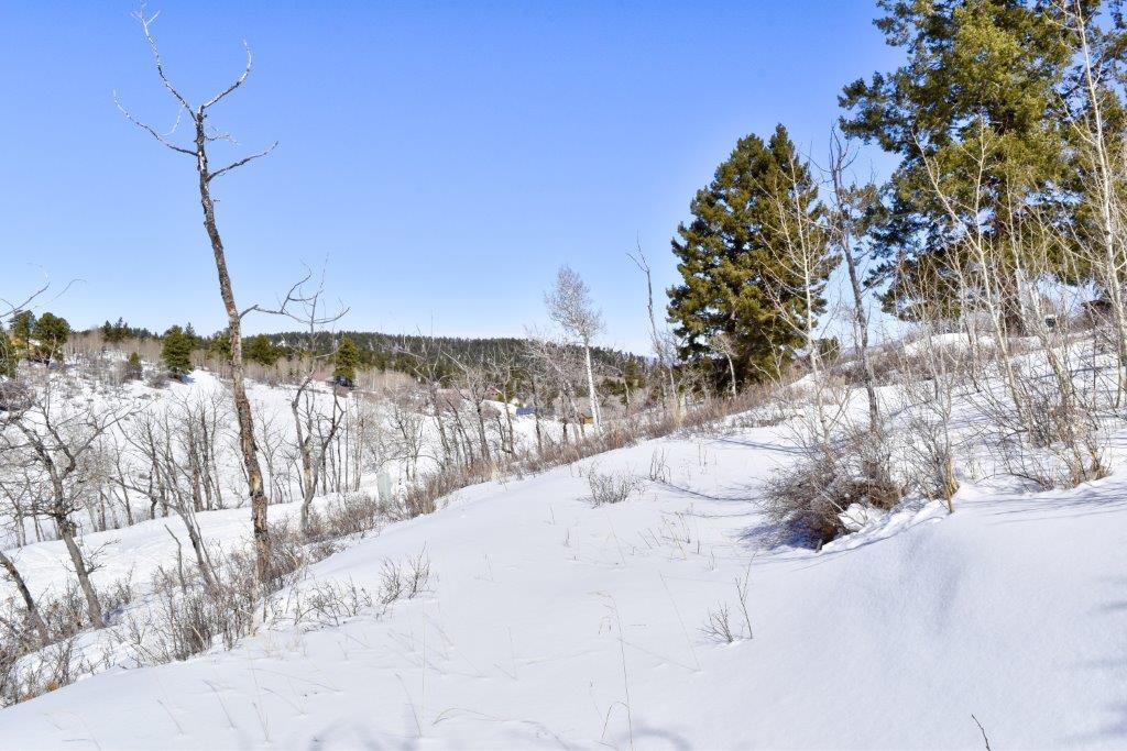 Tbd Alpine Lane Ridgway, CO 81432 - Photo 15 of 19 _DSC2297_Realistic