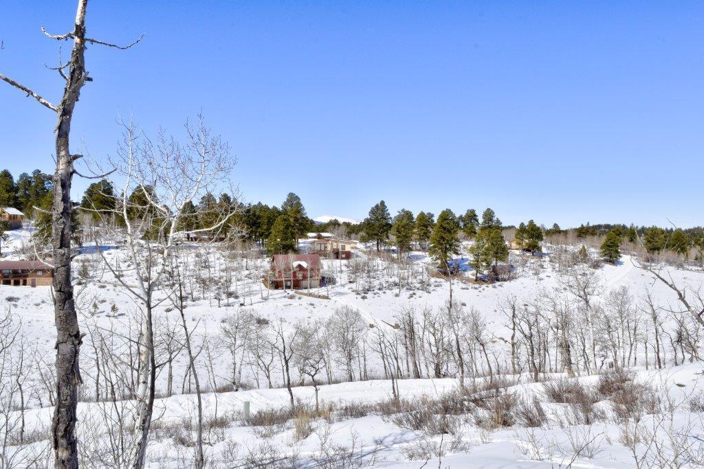 Tbd Alpine Lane Ridgway, CO 81432 - Photo 17 of 19 _DSC2299_Realistic