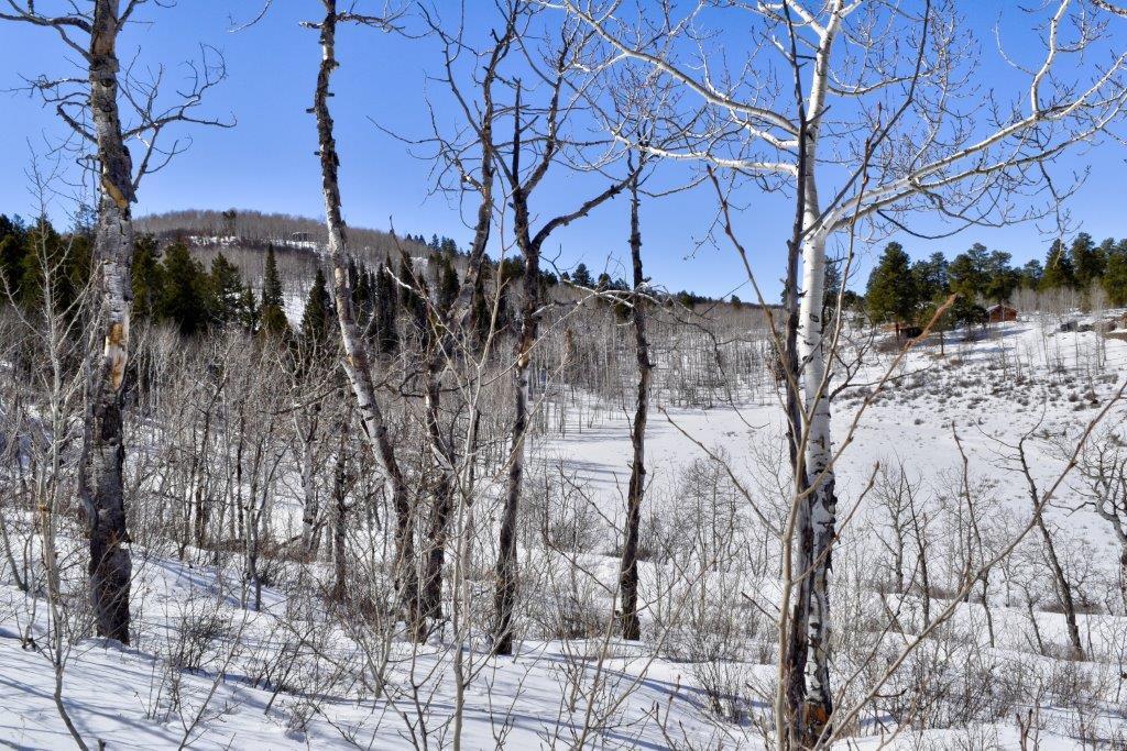 Tbd Alpine Lane Ridgway, CO 81432 - Photo 18 of 19 _DSC2300_Realistic