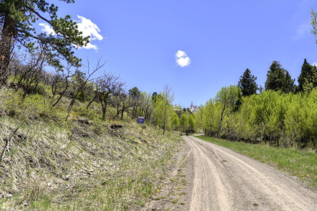Tbd Alpine Lane Ridgway, CO 81432 - Photo 2 of 19 _DSC2637_Smooth 2
