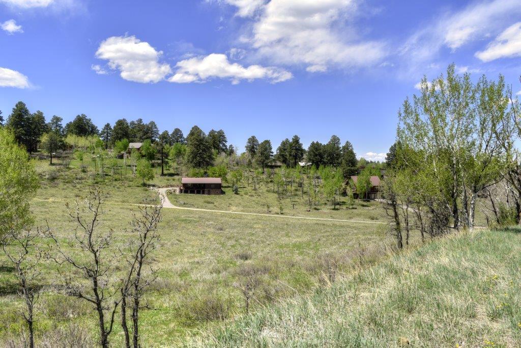 Tbd Alpine Lane Ridgway, CO 81432 - Photo 3 of 19 _DSC2638_Smooth 2