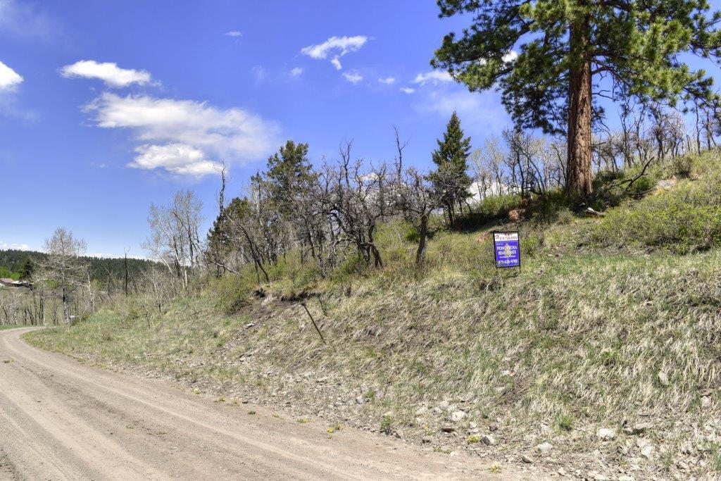 Tbd Alpine Lane Ridgway, CO 81432 - Photo 4 of 19 _DSC2639_Smooth 2