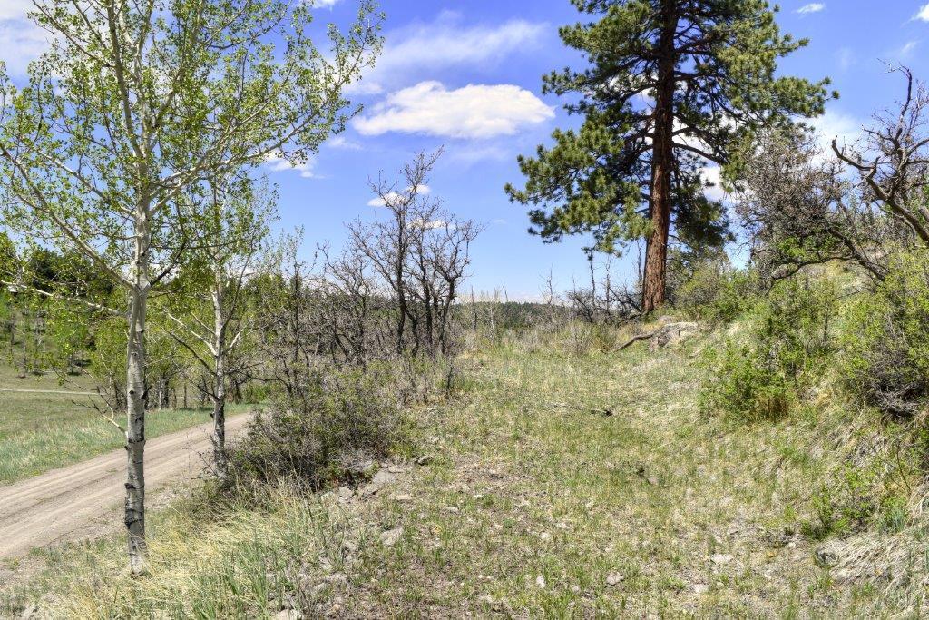 Tbd Alpine Lane Ridgway, CO 81432 - Photo 5 of 19 _DSC2640_Smooth 2