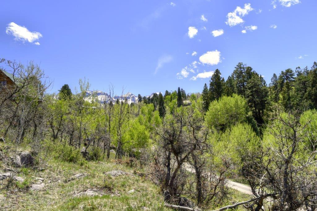 Tbd Alpine Lane Ridgway, CO 81432 - Photo 6 of 19 _DSC2641_Smooth 2