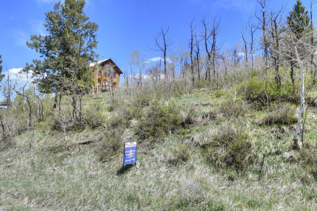 Tbd Alpine Lane Ridgway, CO 81432 - Photo 7 of 19 _DSC2642_Smooth