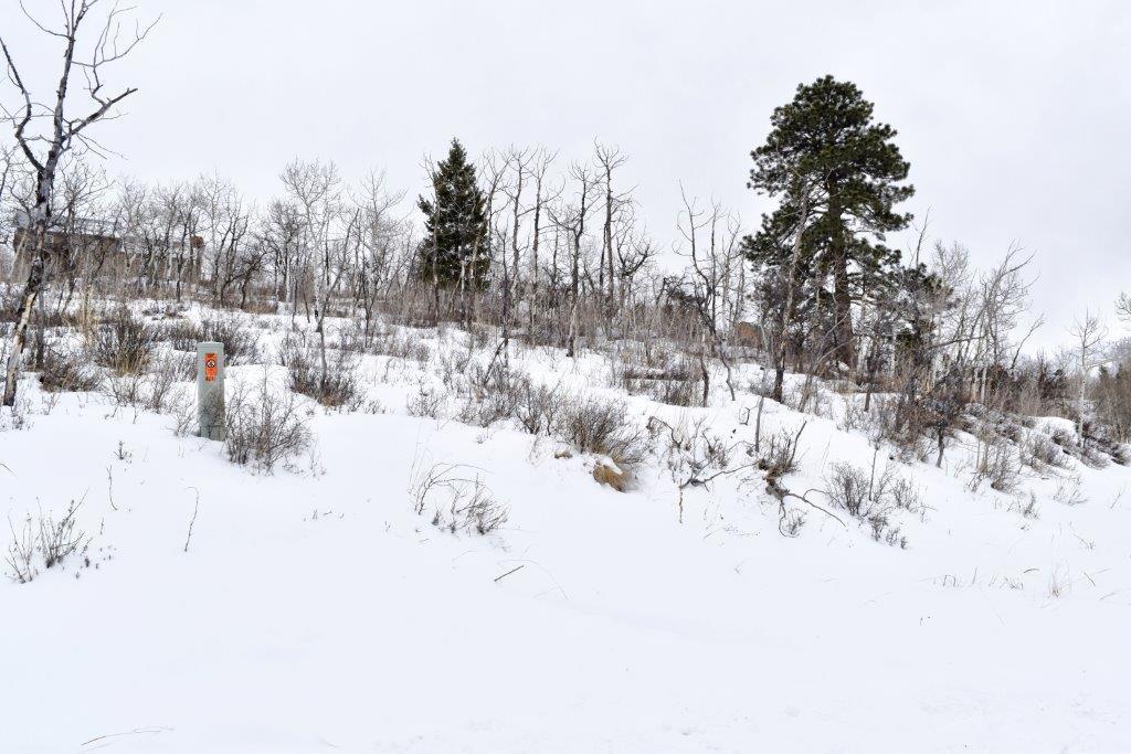 Tbd Alpine Lane Ridgway, CO 81432 - Photo 8 of 19 _DSC2206_Realistic