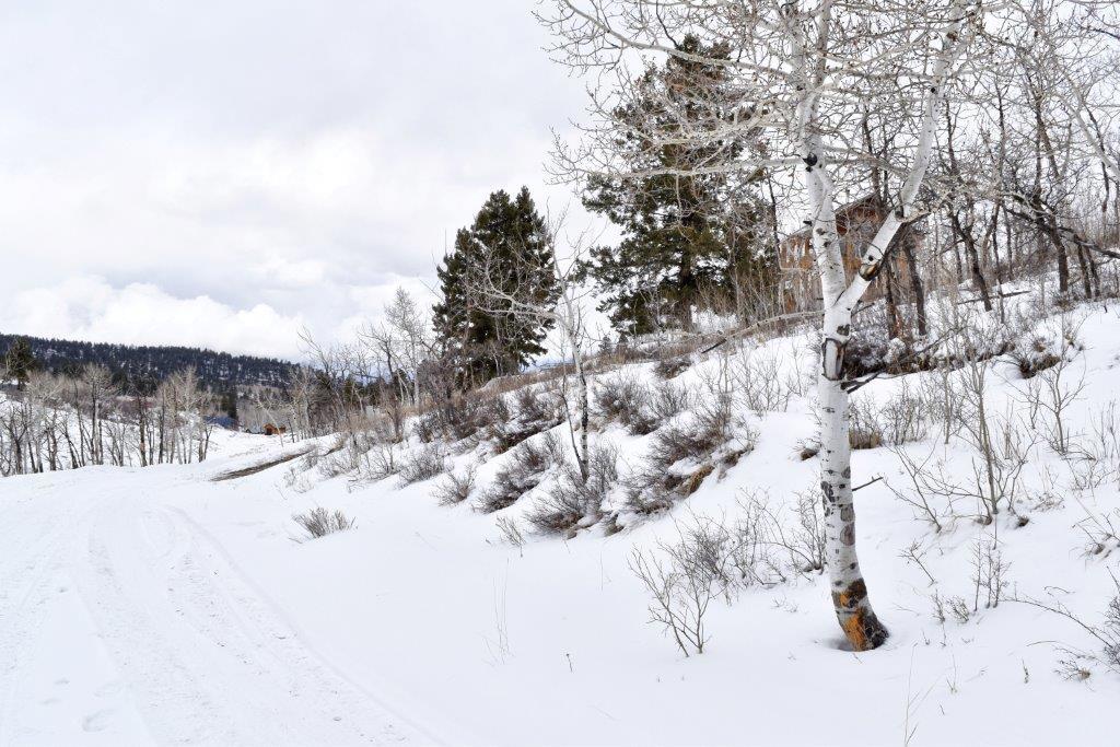 Tbd Alpine Lane Ridgway, CO 81432 - Photo 9 of 19 _DSC2211_Realistic
