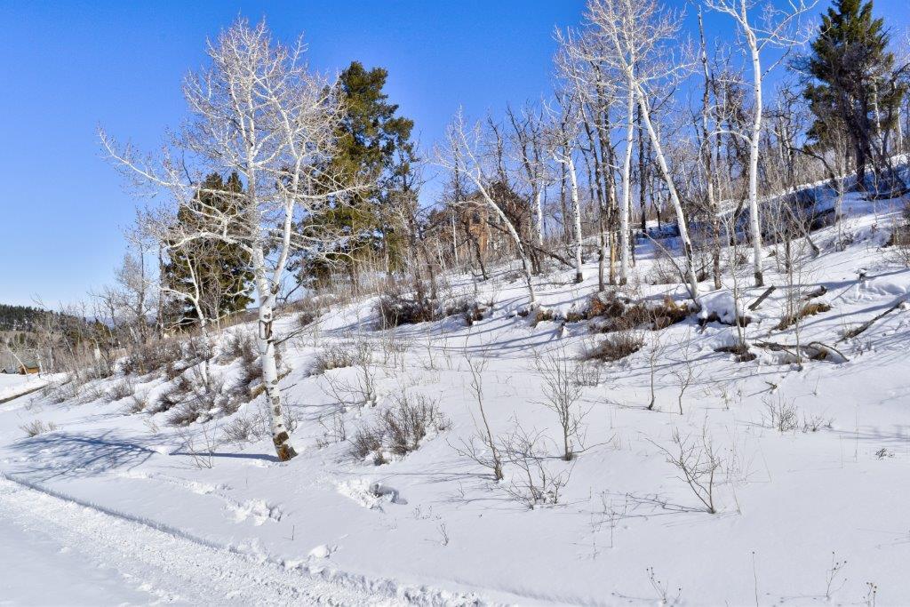 Tbd Alpine Lane Ridgway, CO 81432 - Photo 10 of 19 _DSC2291_Realistic
