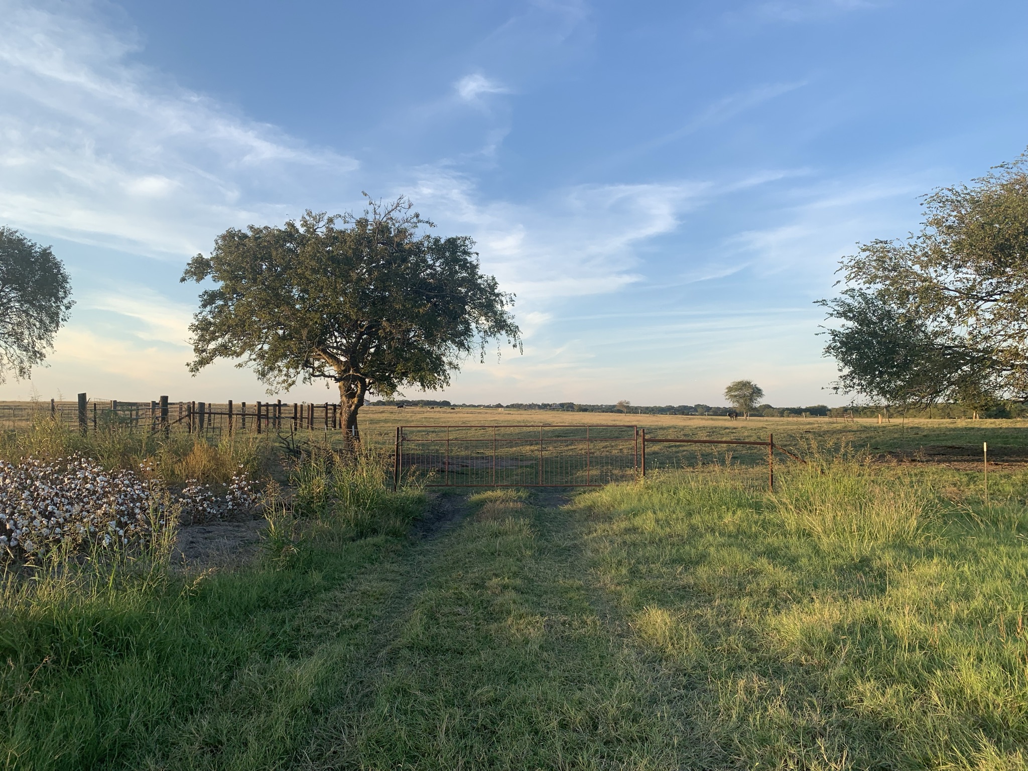 Undisclosed Address Georgetown, TX 78626 - Photo 1 of 9 a view of a lake from a yard