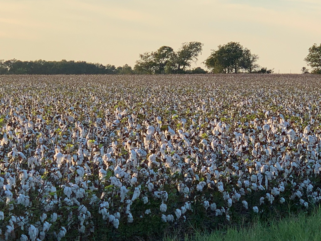 Undisclosed Address Georgetown, TX 78626 - Photo 3 of 9 a view of lake