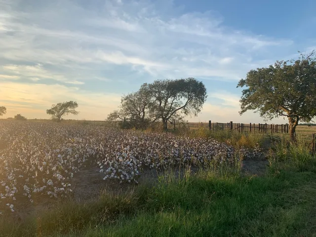 a view of lake with green space