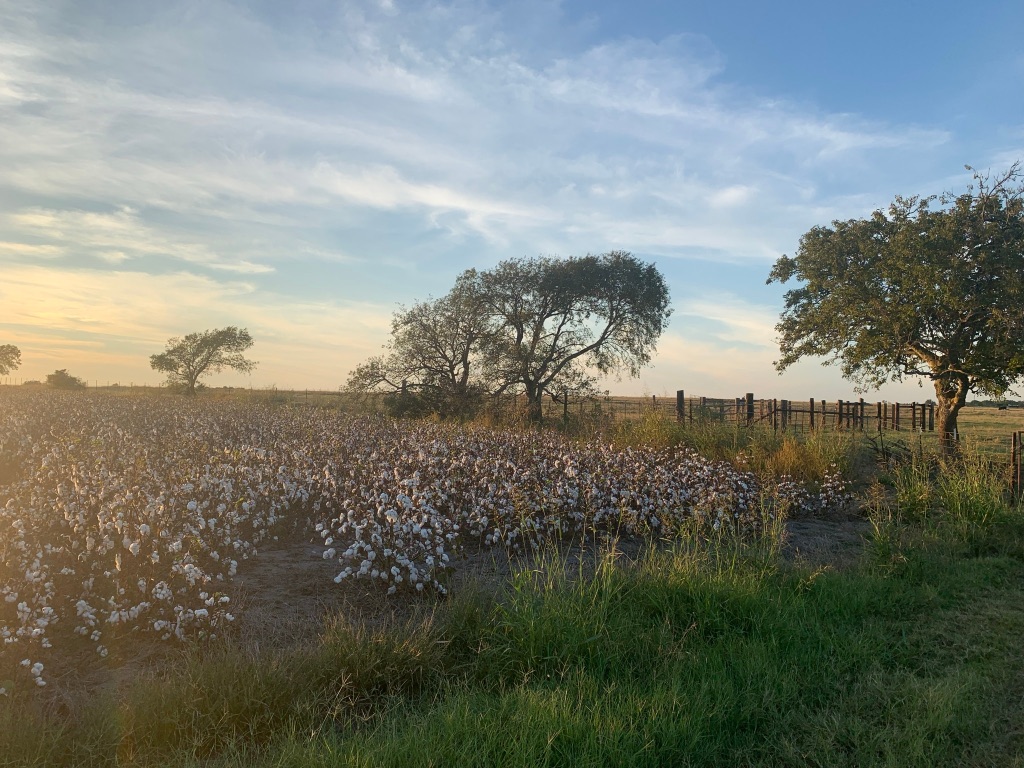 Undisclosed Address Georgetown, TX 78626 - Photo 4 of 9 a view of lake with green space