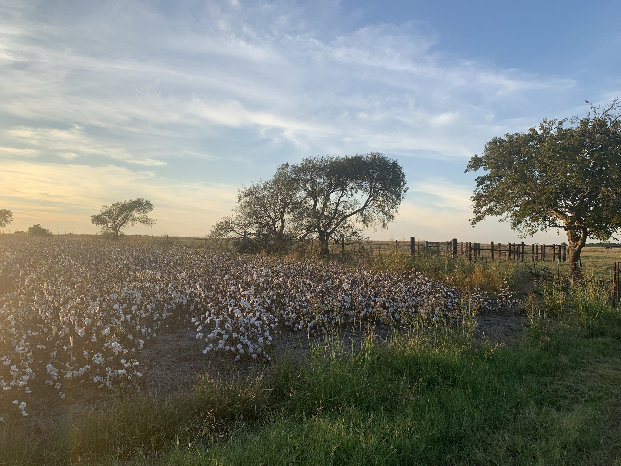 Undisclosed Address Georgetown, TX 78626 - Photo 4 of 9 a view of lake with green space