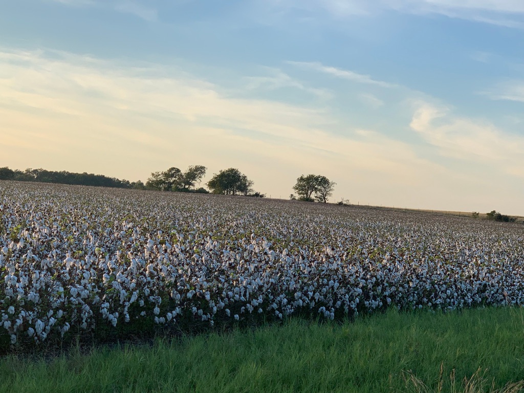 Undisclosed Address Georgetown, TX 78626 - Photo 6 of 9