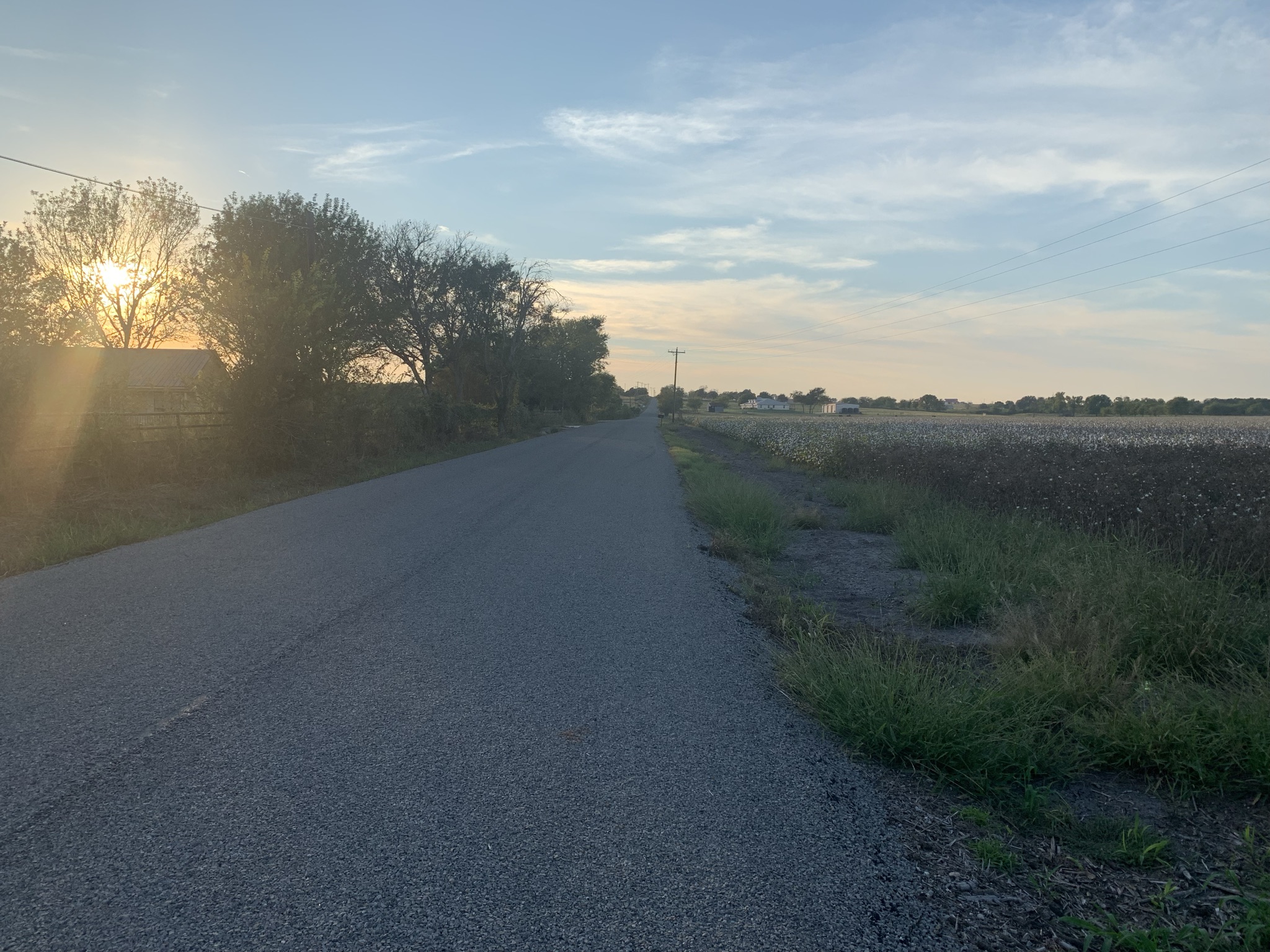 Undisclosed Address Georgetown, TX 78626 - Photo 7 of 9 a view of a pathway with a yard next to a road
