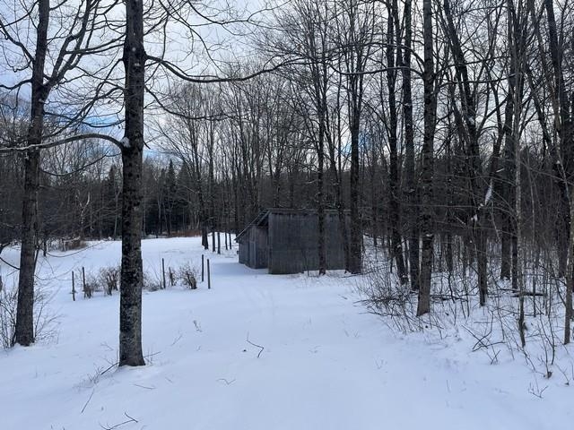 339 Hinman Road Glover, VT 05839 - Photo 4 of 20