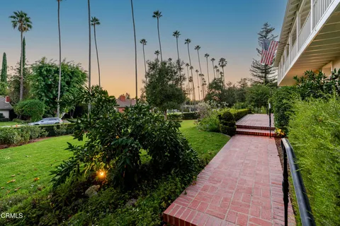 a view of a yard with plants and large trees