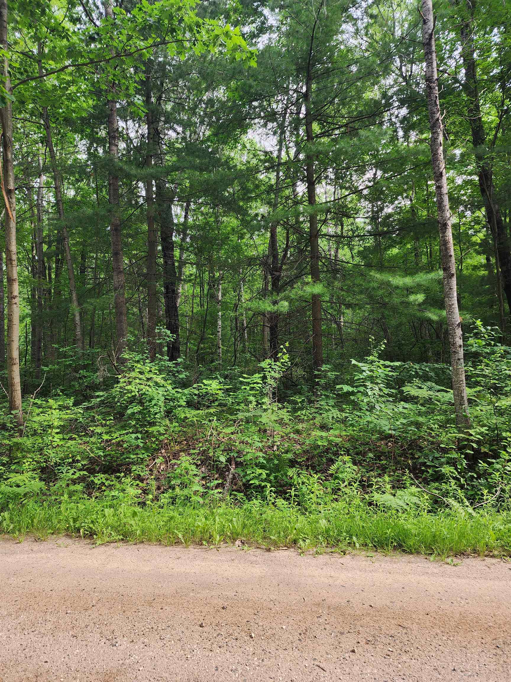 0 Pineview Road Harrison, MI 48625 - Photo 8 of 12