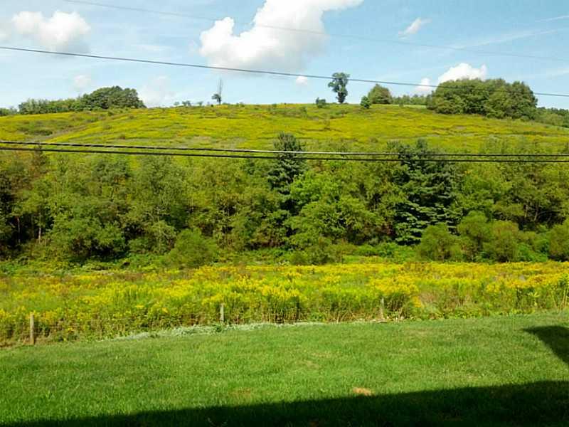 363 Taffy Run Road Rochester, PA 15074 - Photo 3 of 25 View.