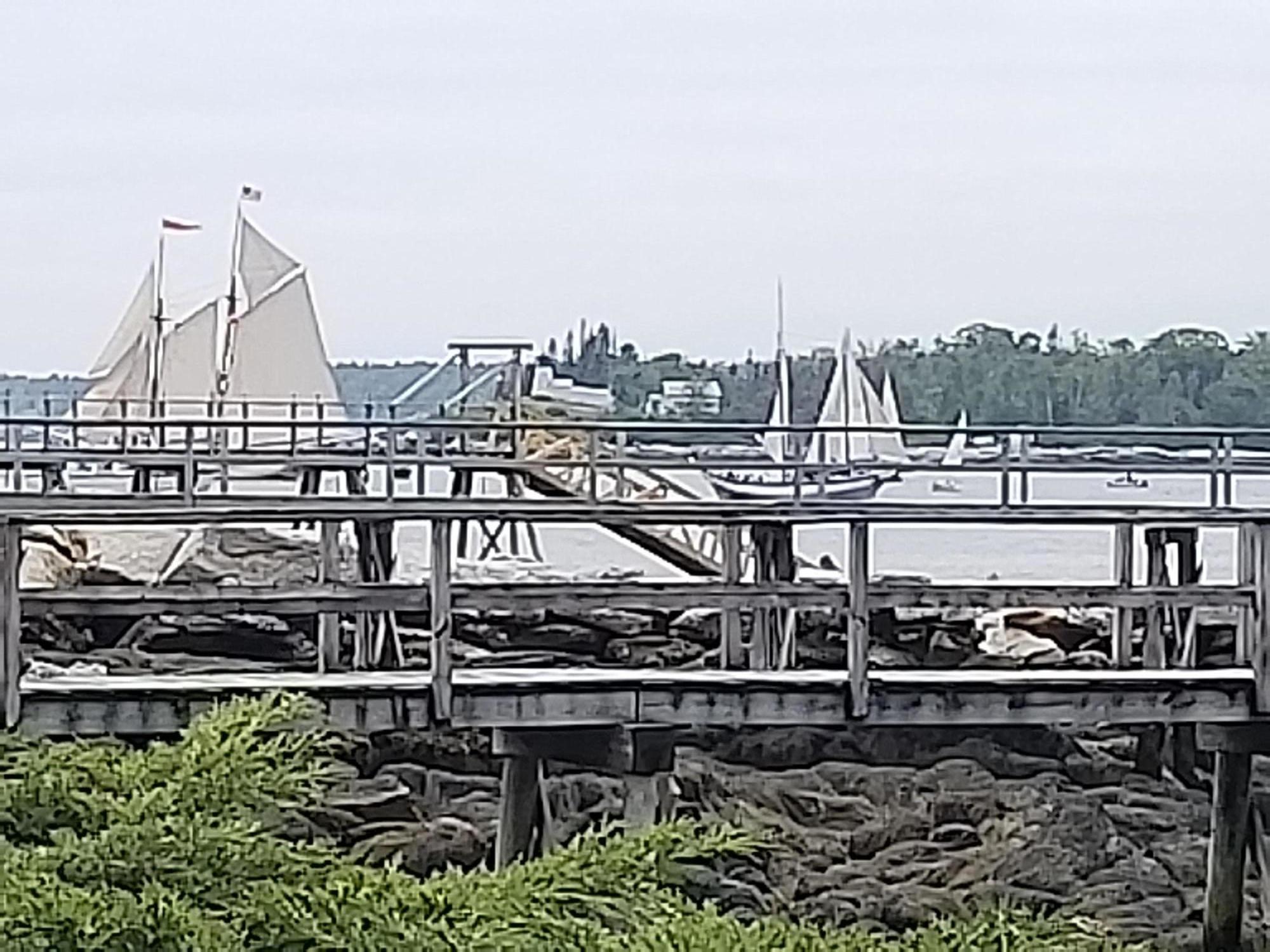 20 Factory Cove Road Boothbay Harbor, ME 04538 - Photo 28 of 29 20190626_132508