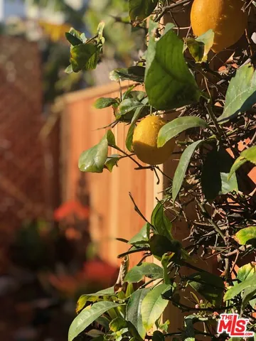 $5,300 | 35 Dudley Avenue, Unit 1/2, Venice, CA 90291