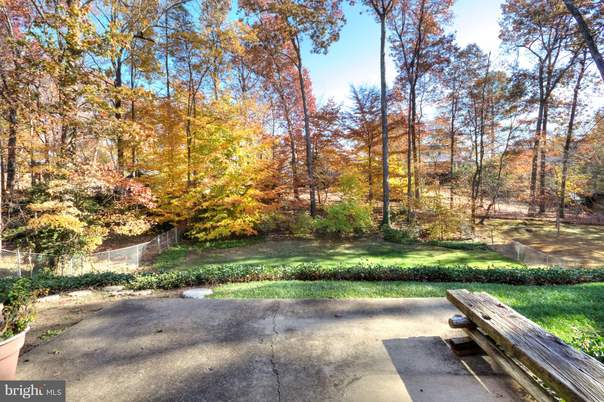 4605 Guinea Road Annandale, VA 22003 - Photo 24 of 27 Backyard