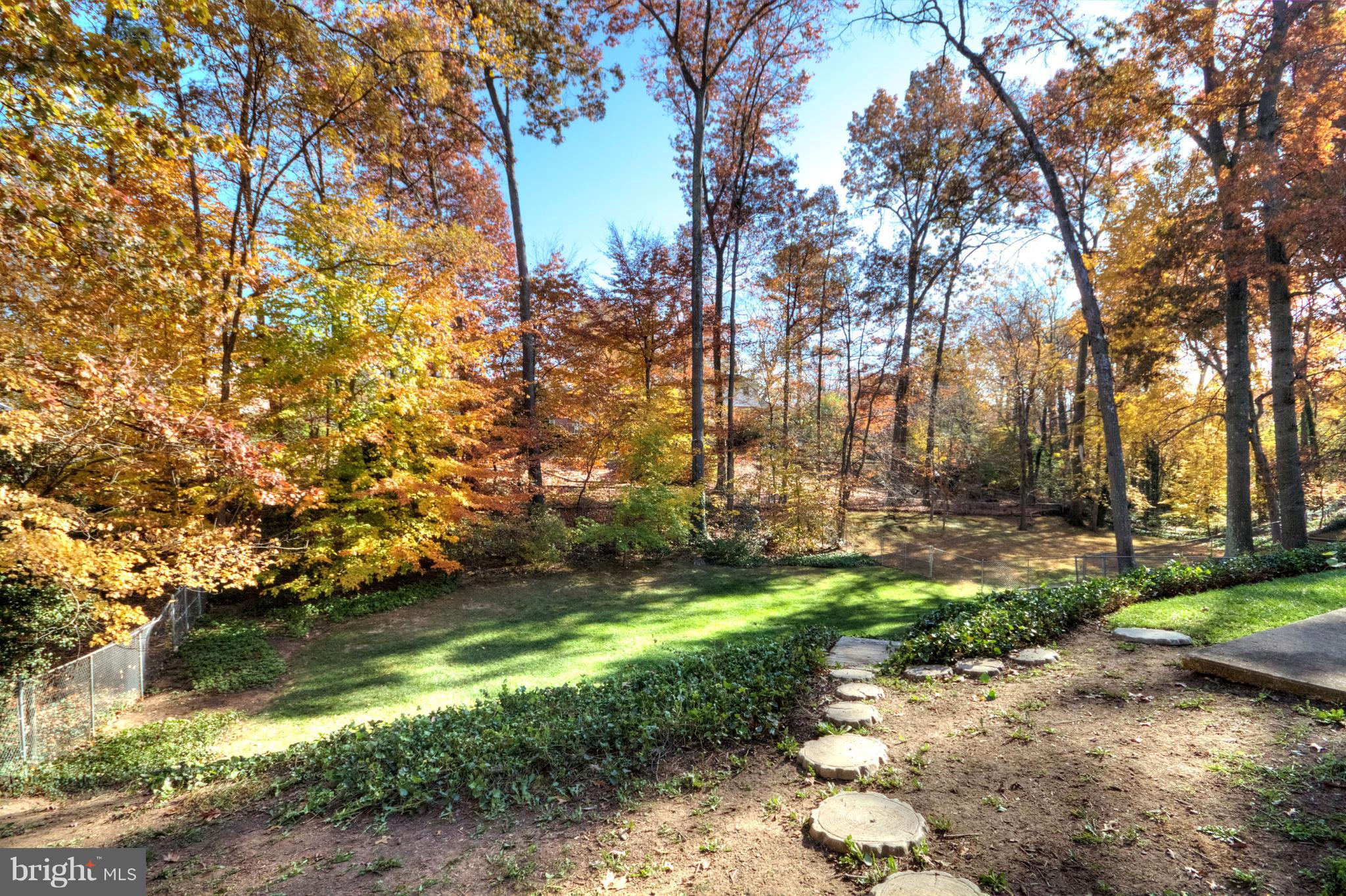 4605 Guinea Road Annandale, VA 22003 - Photo 25 of 27 Backyard