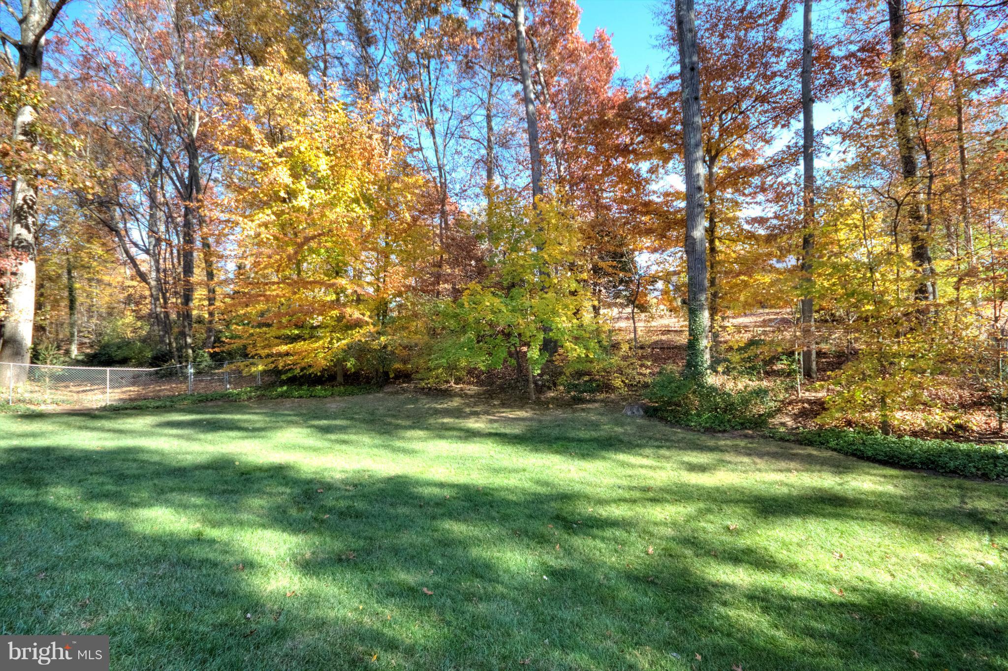 4605 Guinea Road Annandale, VA 22003 - Photo 26 of 27 Backyard
