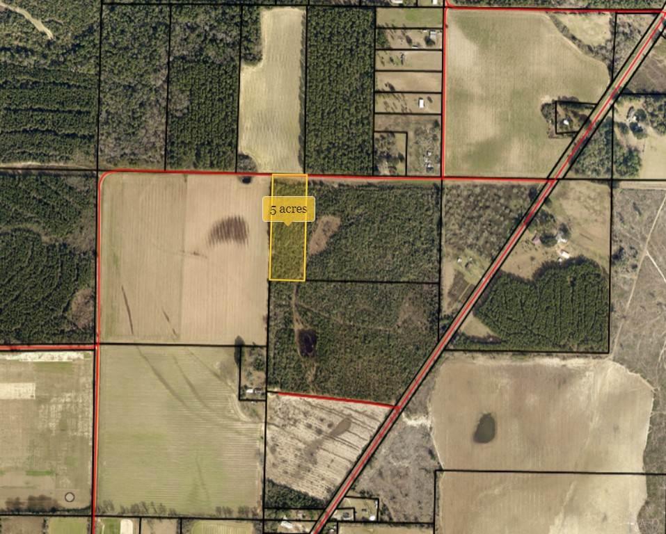 5 Hosea Gillman Road Milton, FL 32570 - Photo 9 of 10 Gallery Image 9