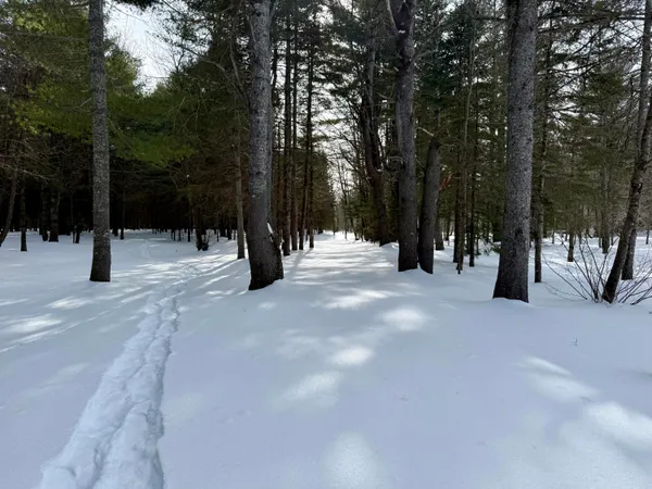 $299,000 | Lot 34 Meadow Wood Drive, Brownville, ME 04414