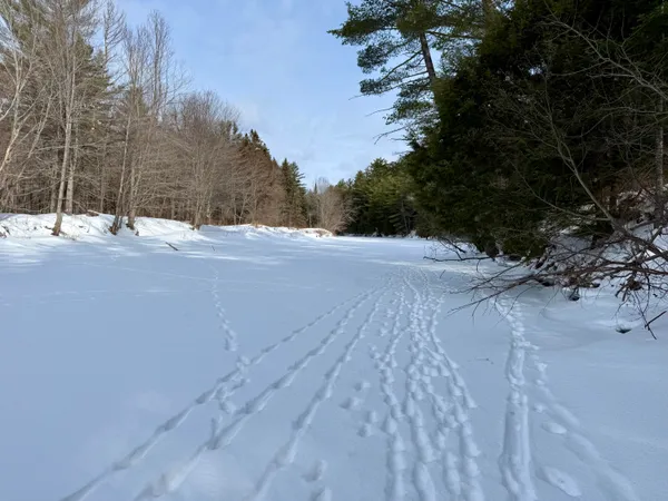 $299,000 | Lot 34 Meadow Wood Drive, Brownville, ME 04414