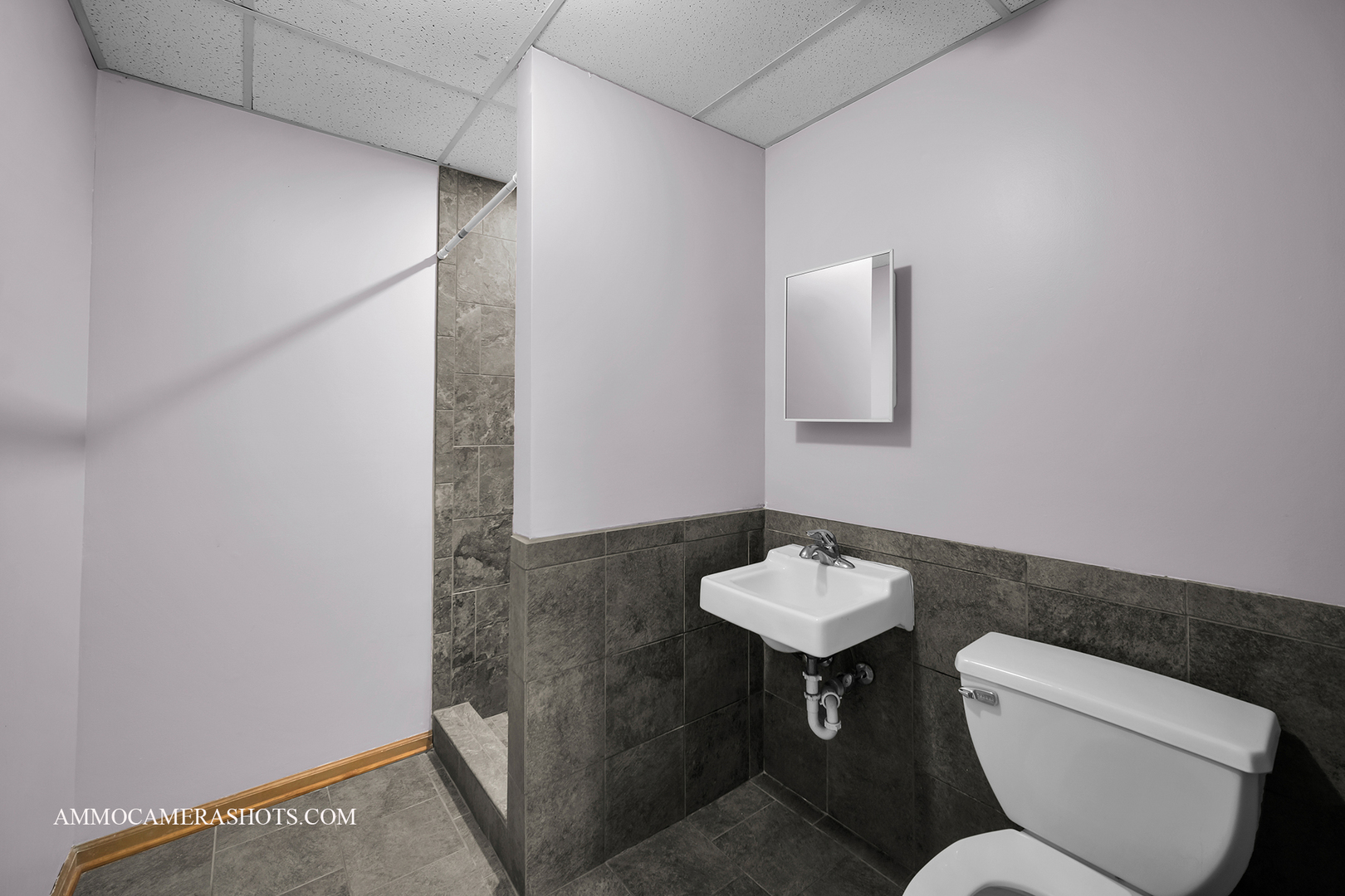 115 South Wolfe Street Sandwich, IL 60548 - Photo 13 of 22 a bathroom with a toilet a sink and mirror