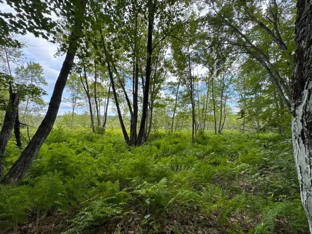 $825,000 | Map20-lot19 Carter Hill Road, Fryeburg, ME 04037