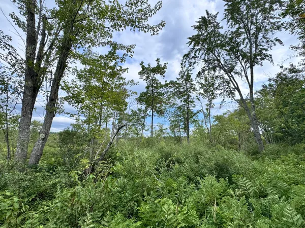 $799,000 | Map20-lot19 Carter Hill Road, Fryeburg, ME 04037