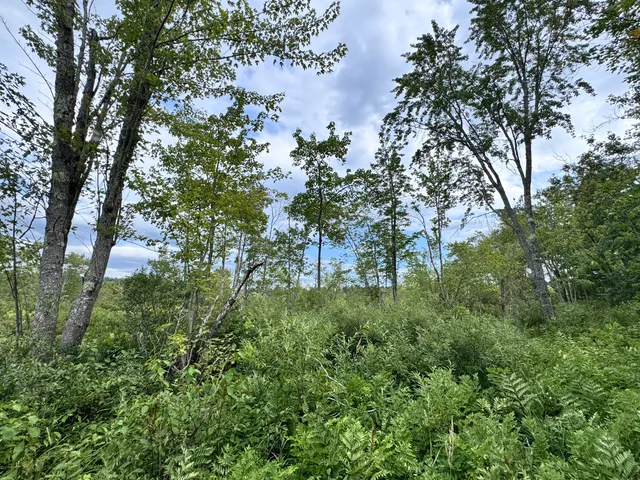 $825,000 | Map20-lot19 Carter Hill Road, Fryeburg, ME 04037