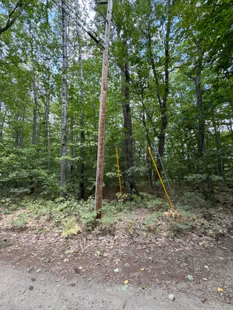 $799,000 | Map20-lot19 Carter Hill Road, Fryeburg, ME 04037
