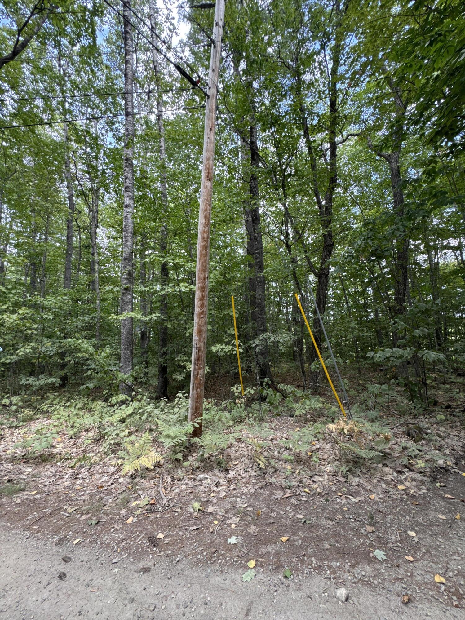 Map20-lot19 Carter Hill Road Fryeburg, ME 04037 - Photo 14 of 22 electric pole nearby