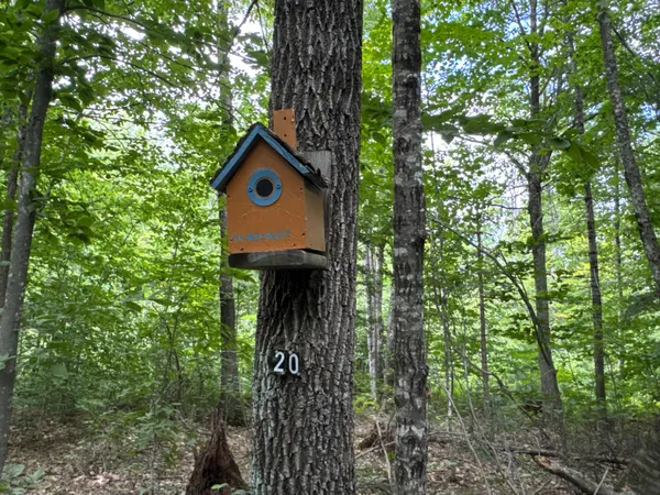 $799,000 | Map20-lot19 Carter Hill Road, Fryeburg, ME 04037