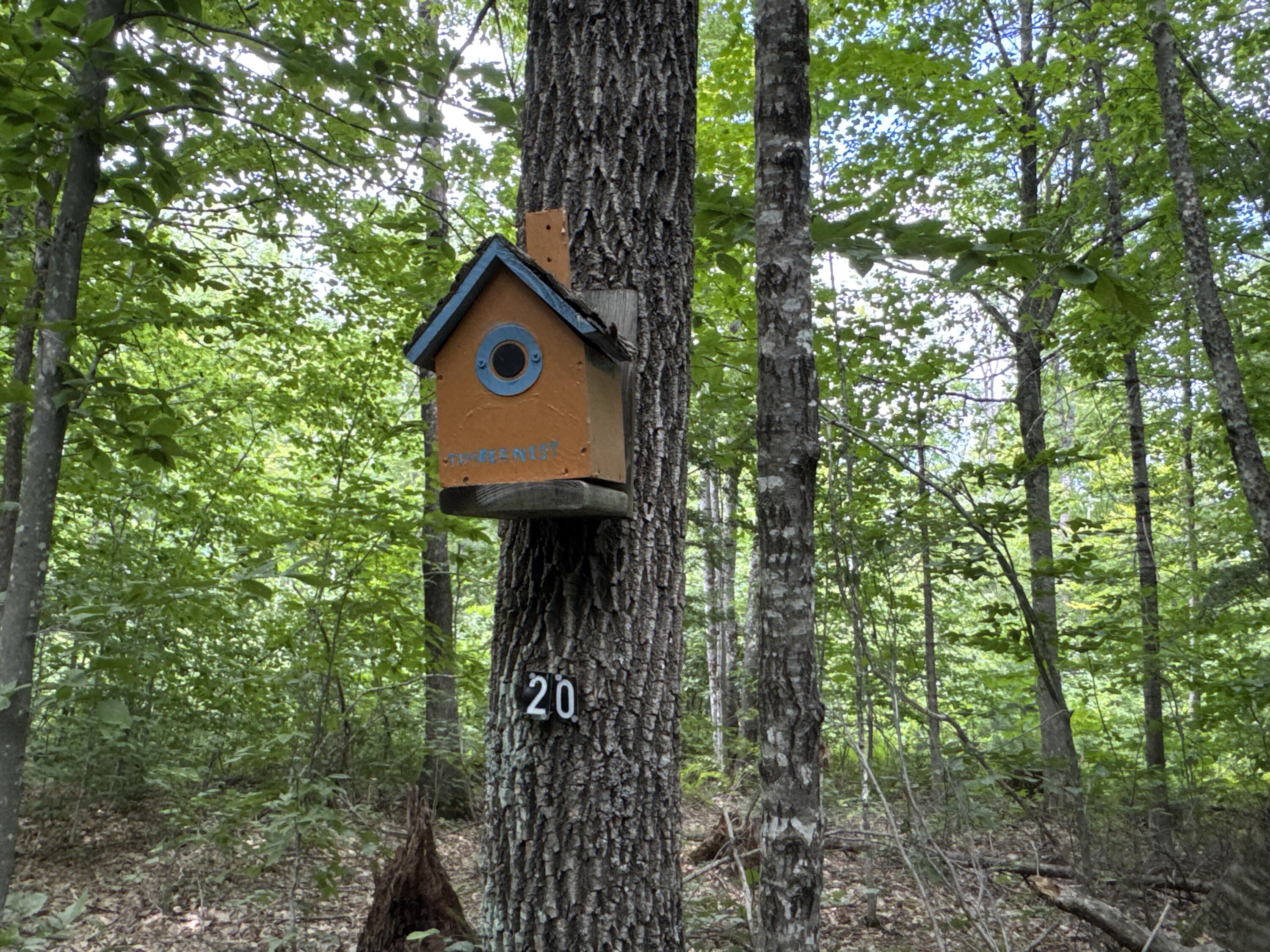 Map20-lot19 Carter Hill Road Fryeburg, ME 04037 - Photo 15 of 22 Tree house
