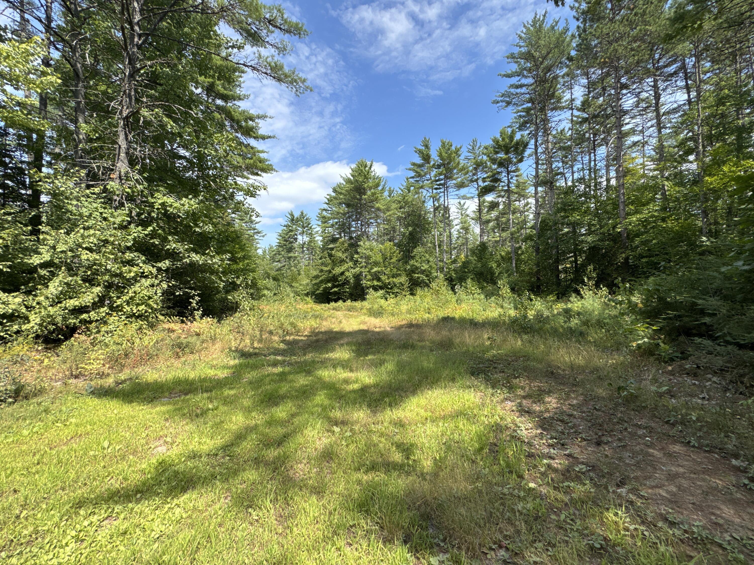 Map20-lot19 Carter Hill Road Fryeburg, ME 04037 - Photo 16 of 22 Managed forest